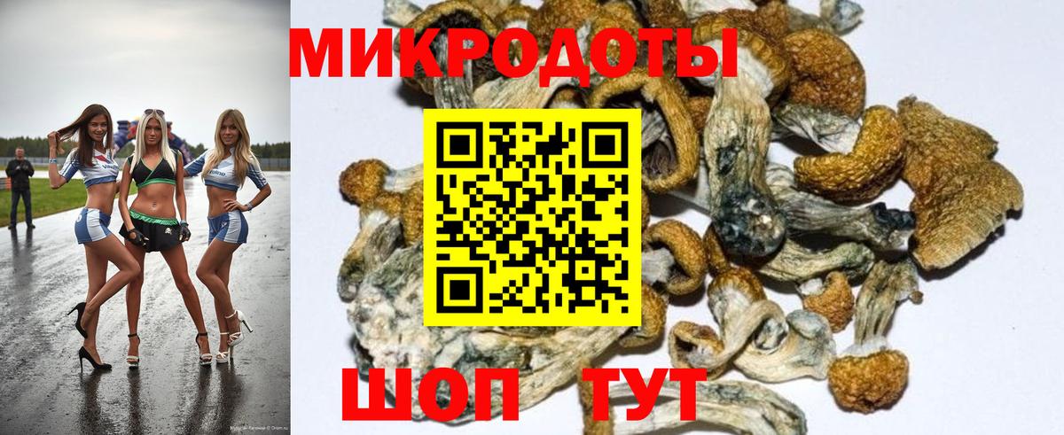 Псилоцибиновые грибы прущие грибы Алушта