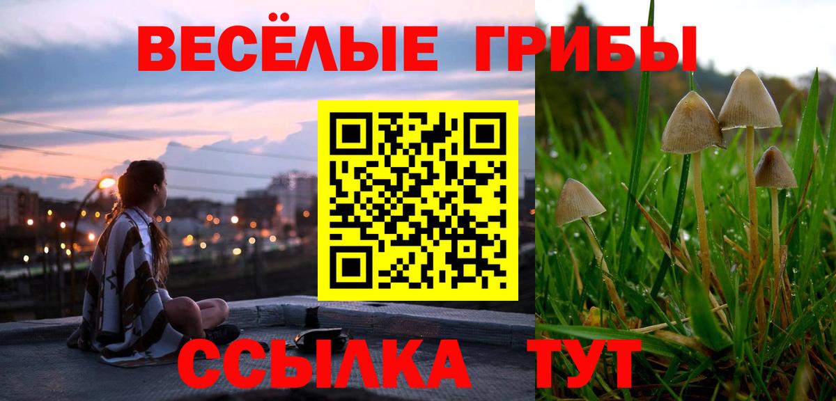 купить  цена  Вход с VPN  Алушта  Псилоцибиновые грибы Magic Shrooms 